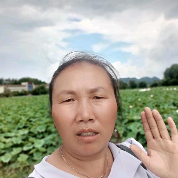 情已欠费，爱已停机