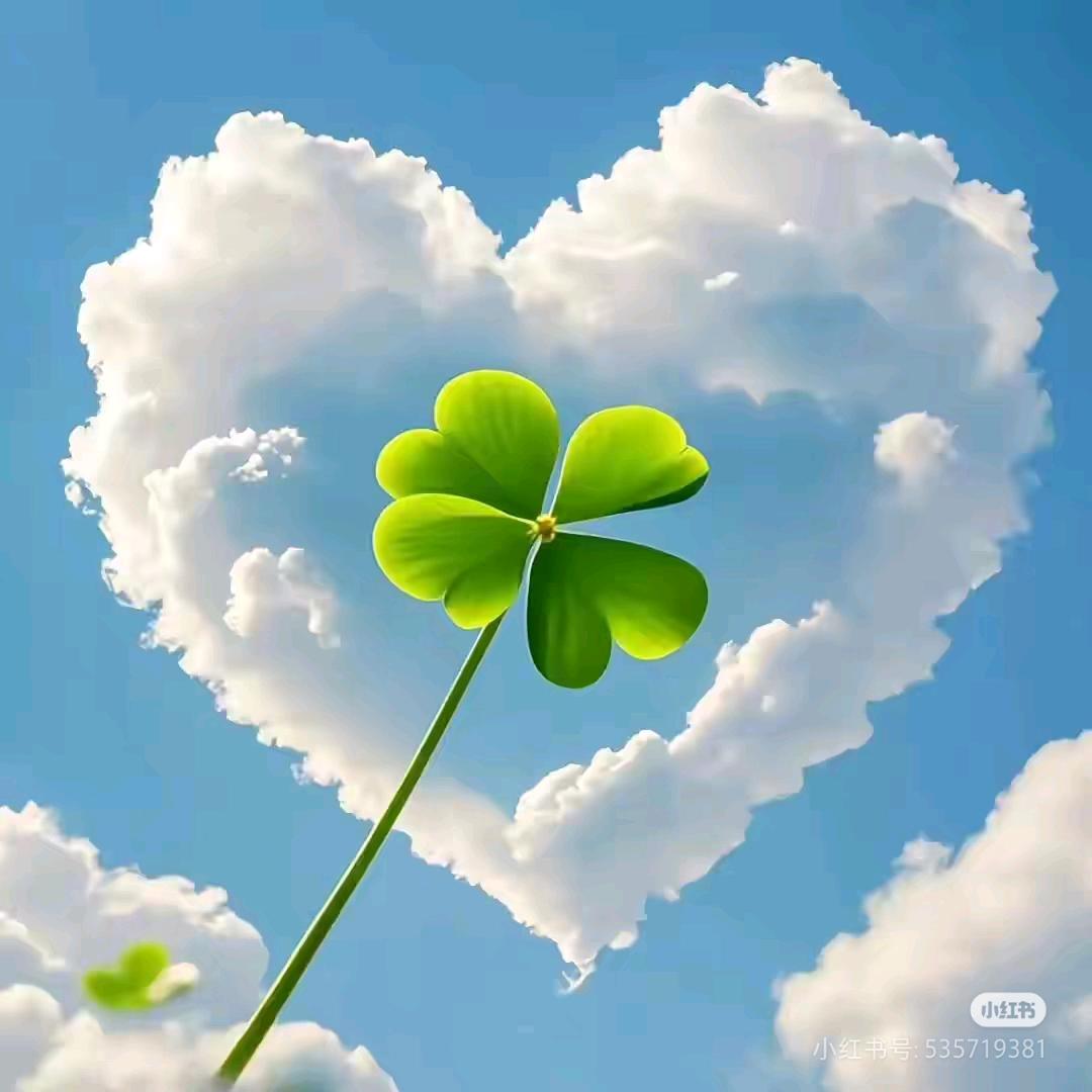@༊꧔ꦿ℘㞮᭄ᩚ꯭ᩚ꧔ꦿ孞᭄꧔࿐❤