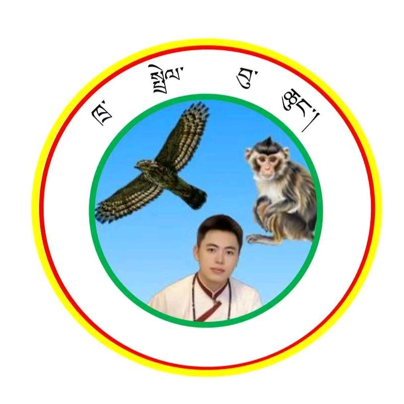 金美