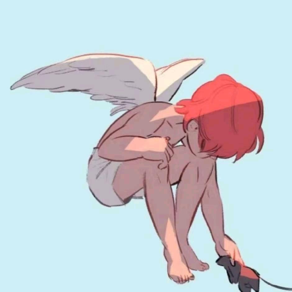 福星高赵