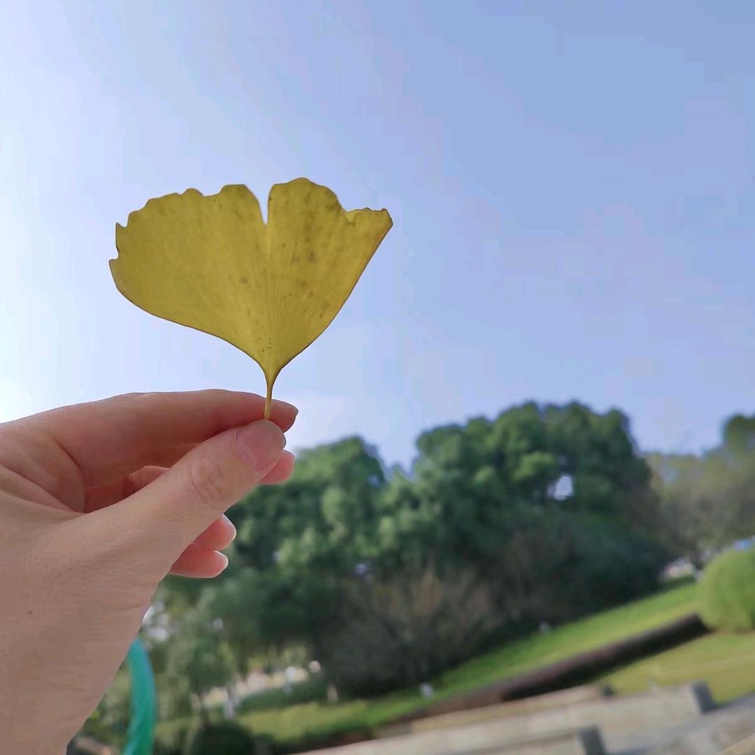 🌱🍀🍀🌱🍀🍀