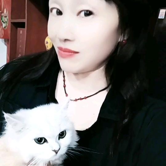 ((#🥀河南傻姐))