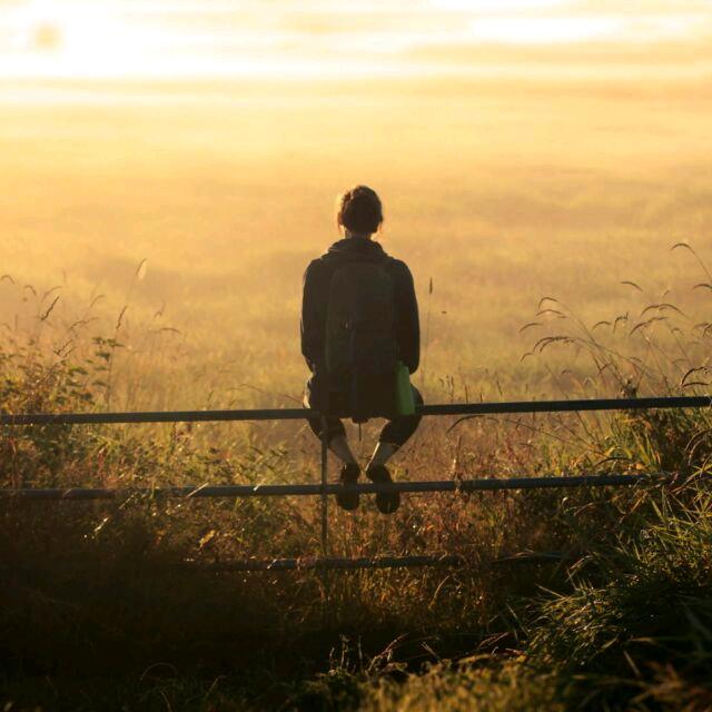 雨泽好物精选店