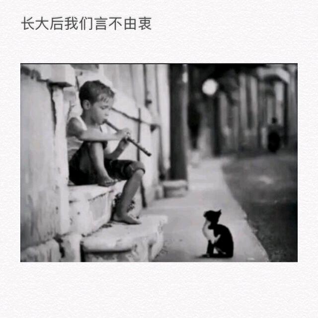 🌈莫言
