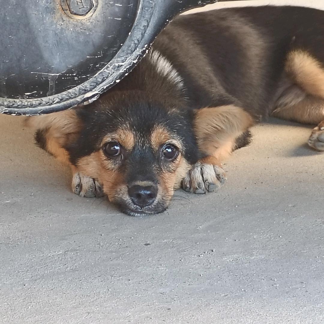 456（三角洲跑刀）