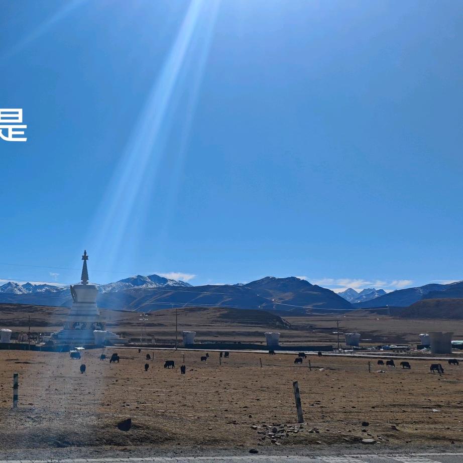 鑫信