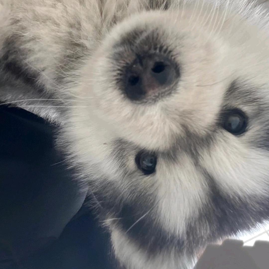 😊😊₍˄·͈༝·͈˄*₎◞ ̑̑