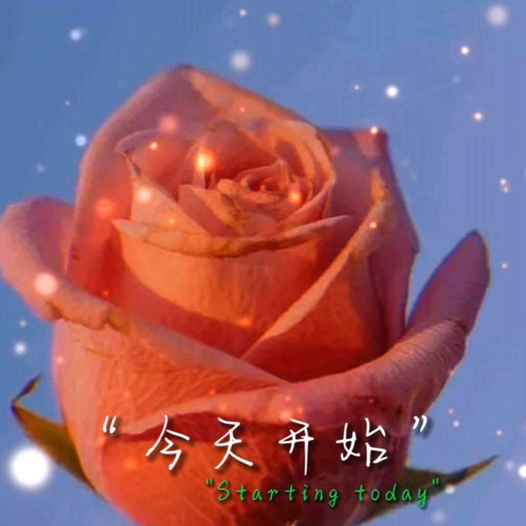 卉姐