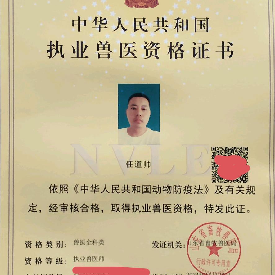 任道帅执业兽医师