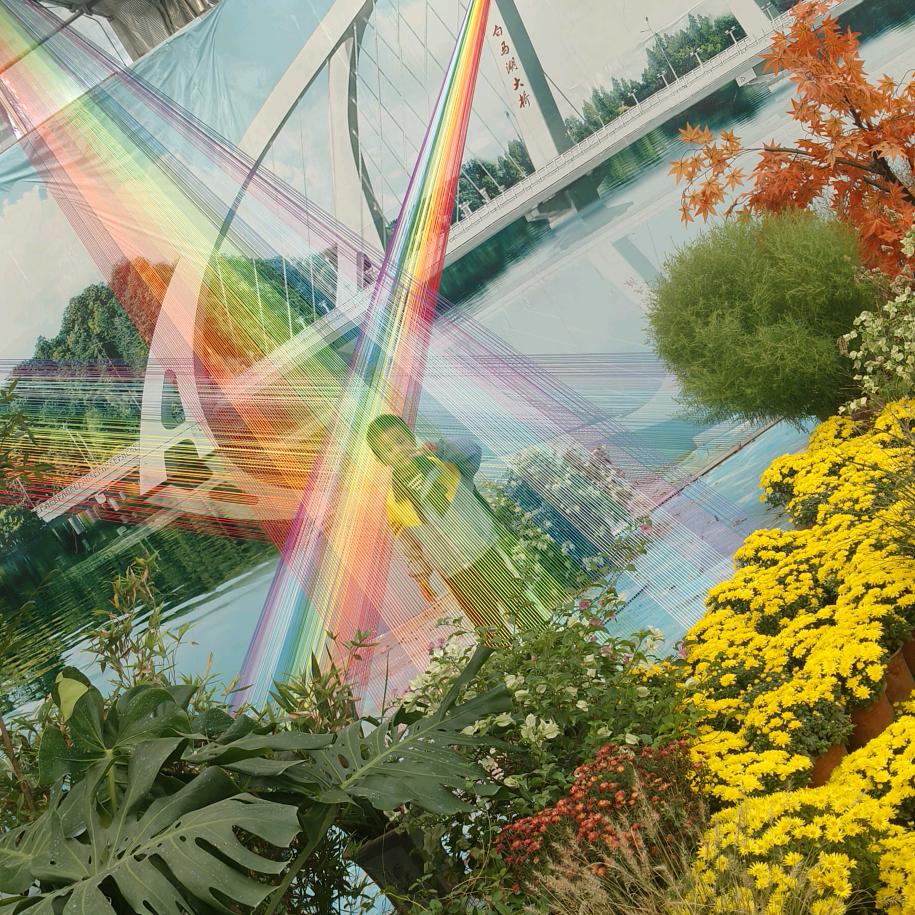 洪泽鲜牛羊肉店