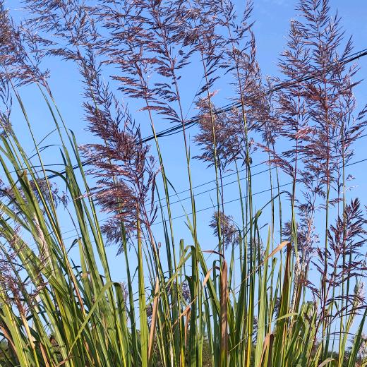 三木水子🌾🌾