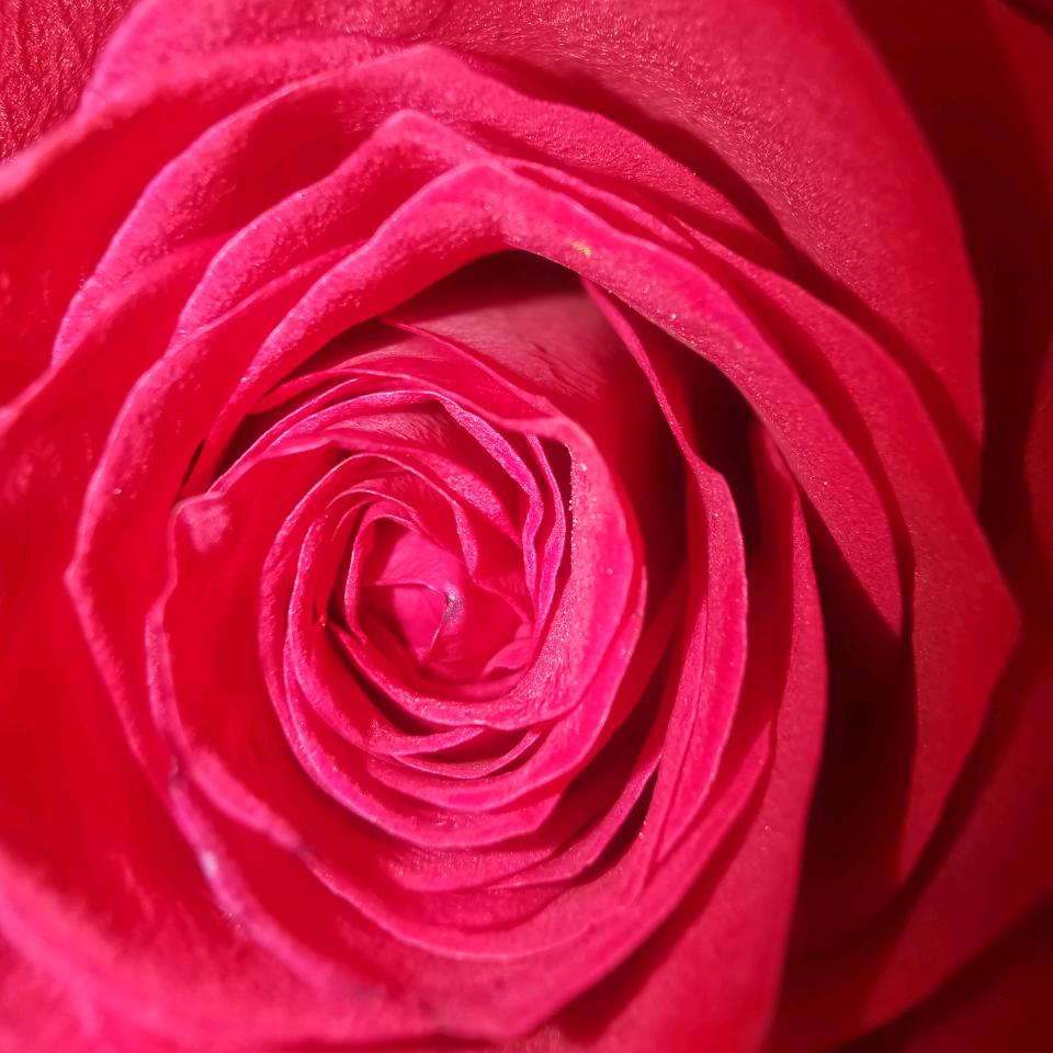 深情不及久伴 厚爱无需多言