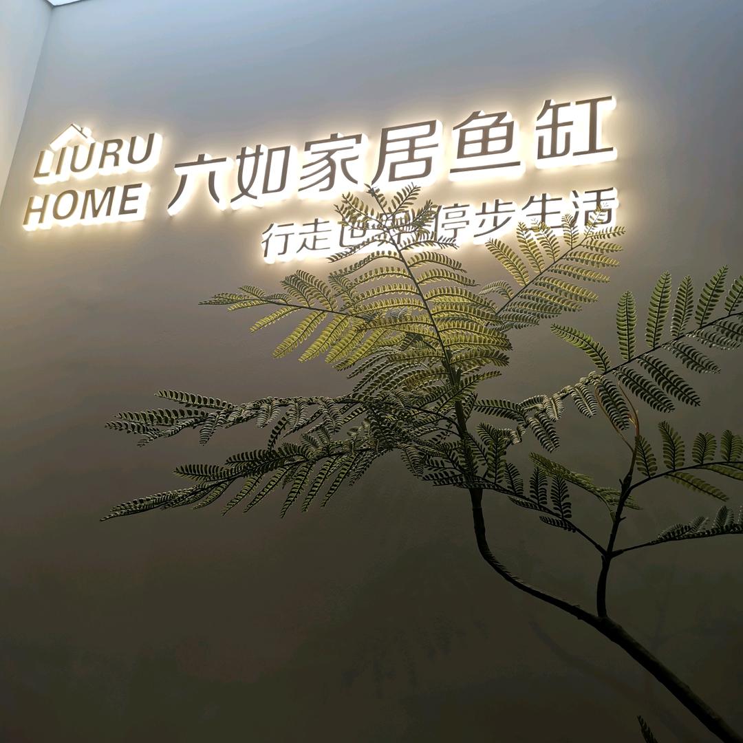 徐州奇鳞居观赏鱼六如家居鱼缸