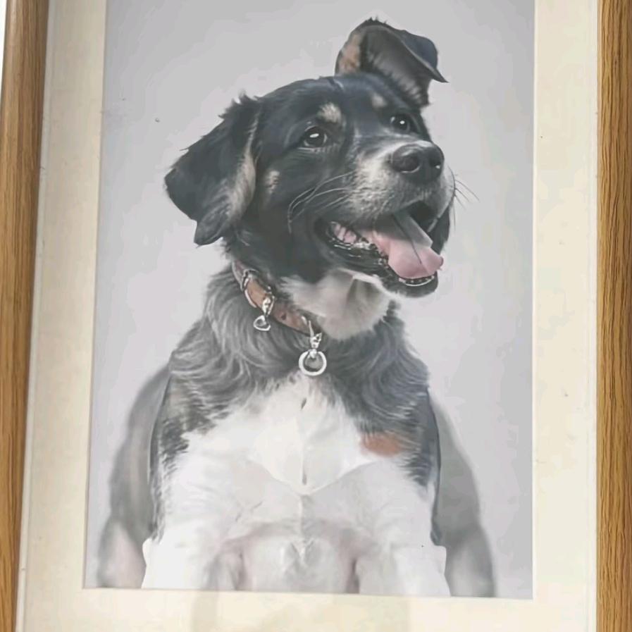 说你笨还不承认