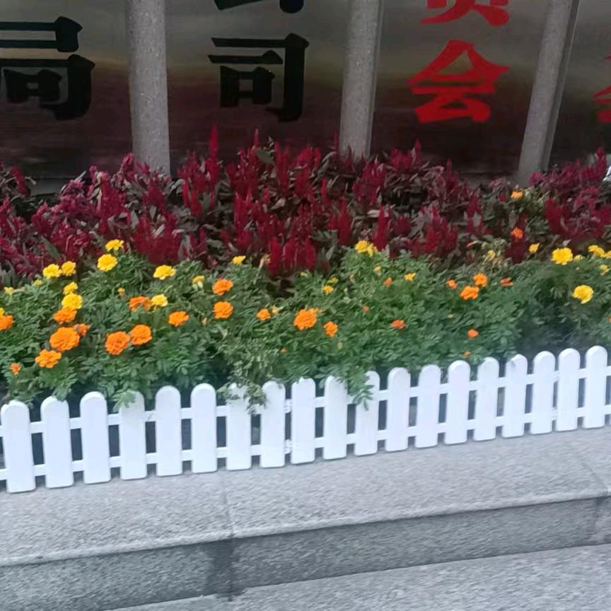 带刺的玫瑰🌹