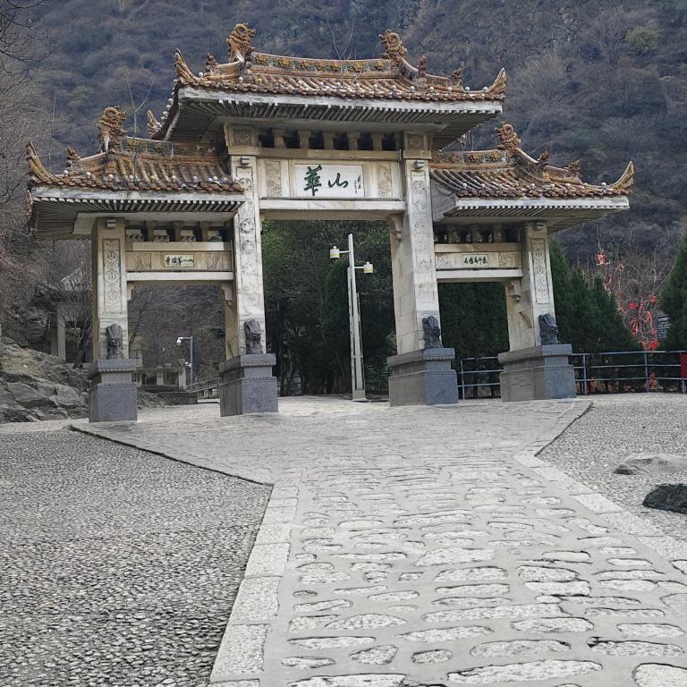 龙
