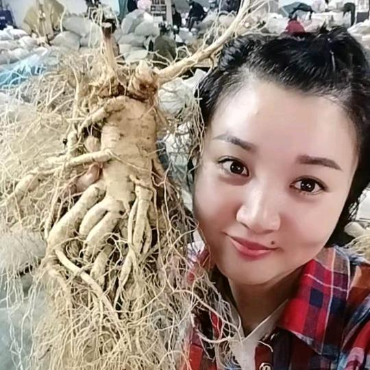 长白山好参源