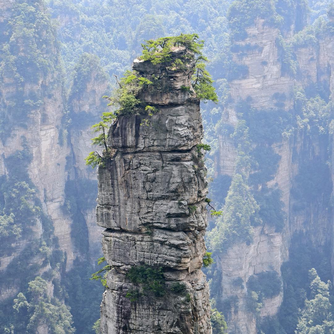 「浴箭·老蓝」💦