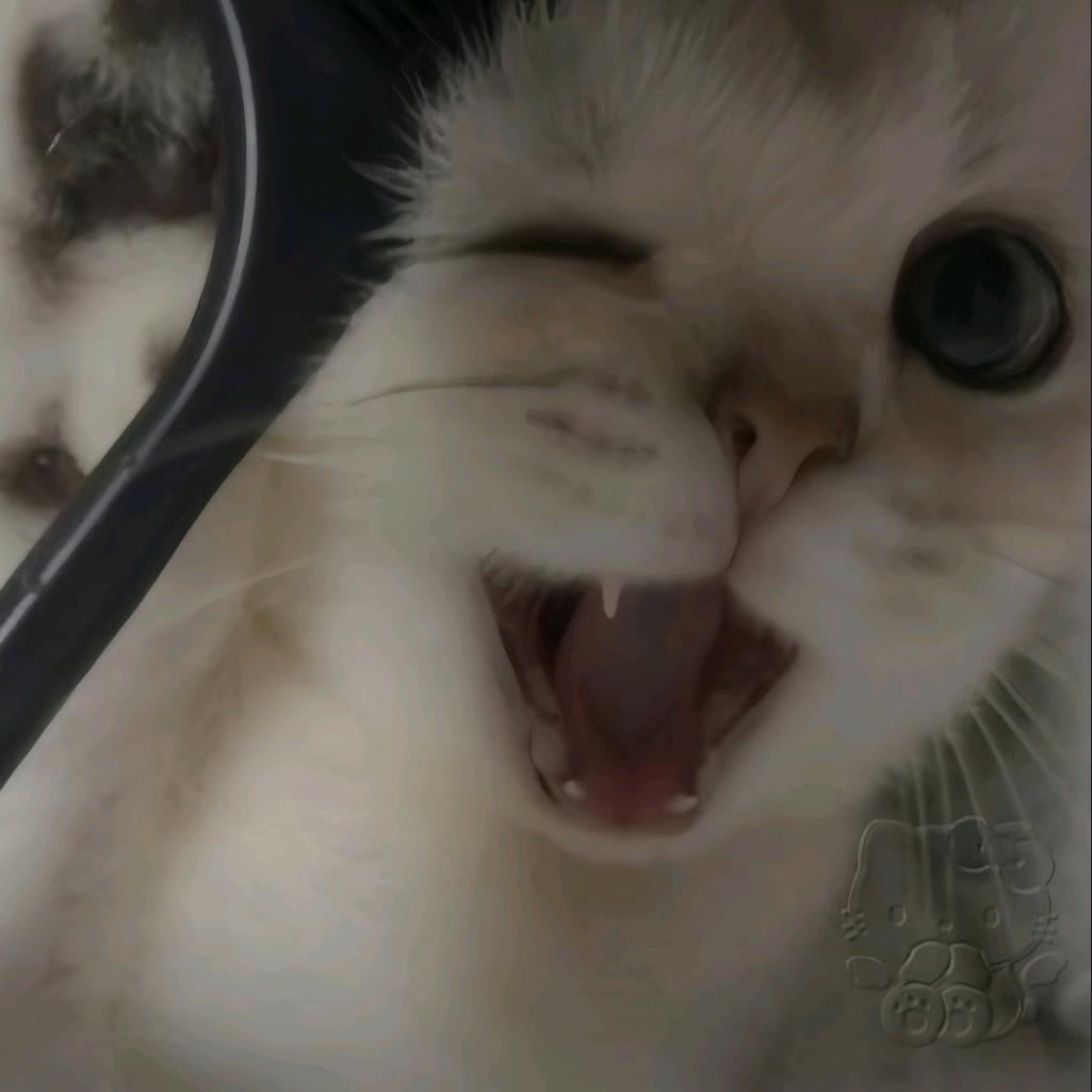 那好叭