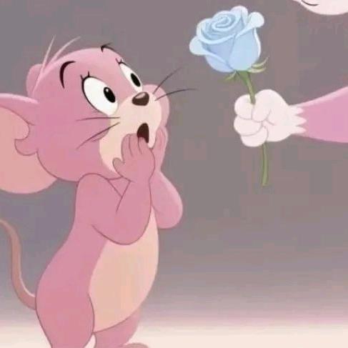 初九 小流星✨🎀✨🎀