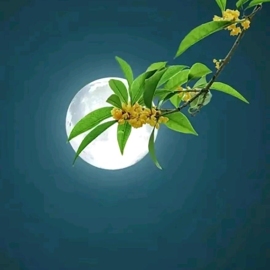 行公义，好怜悯🔥5212