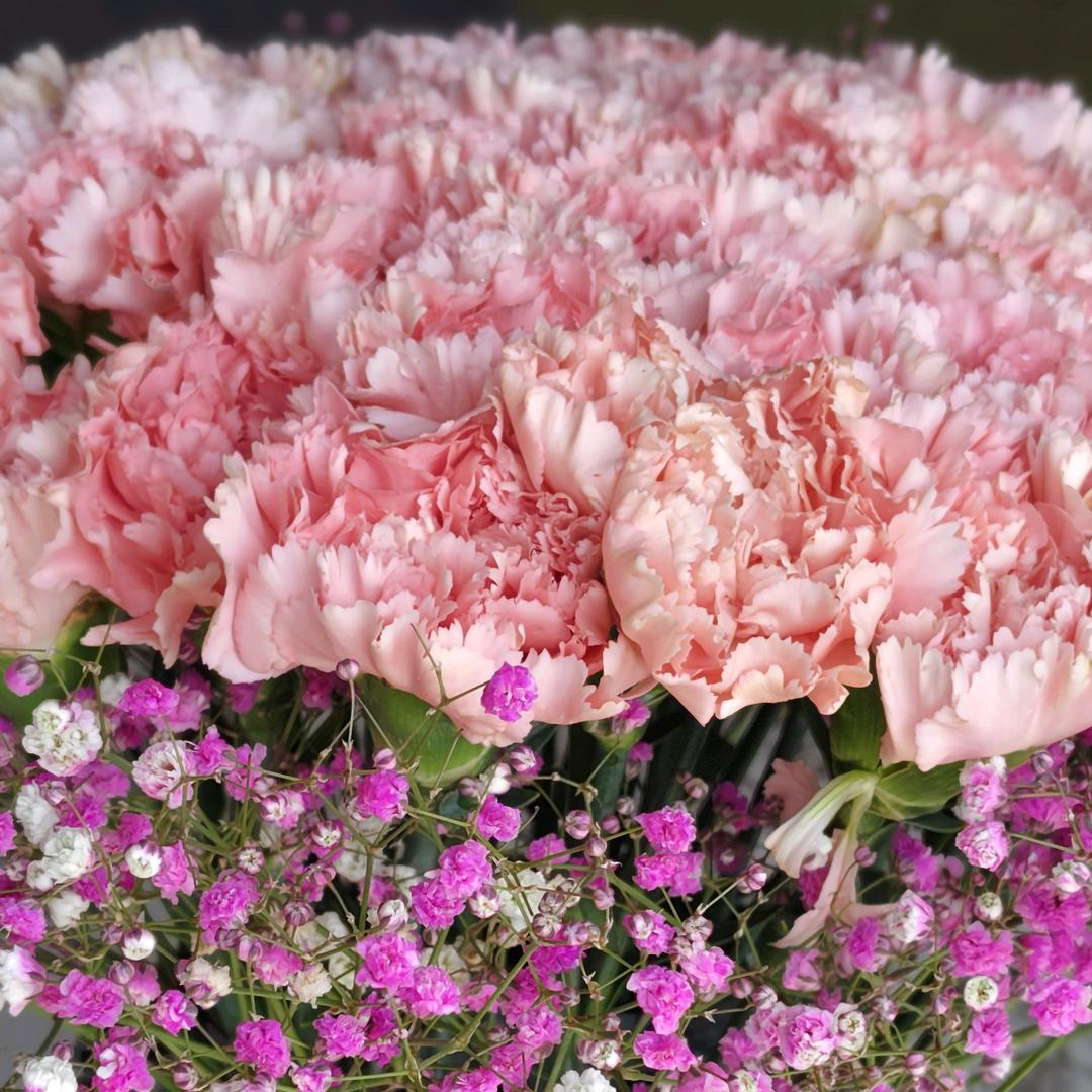 开心就好₍˄·͈༝·͈˄*₎◞ ̑̑