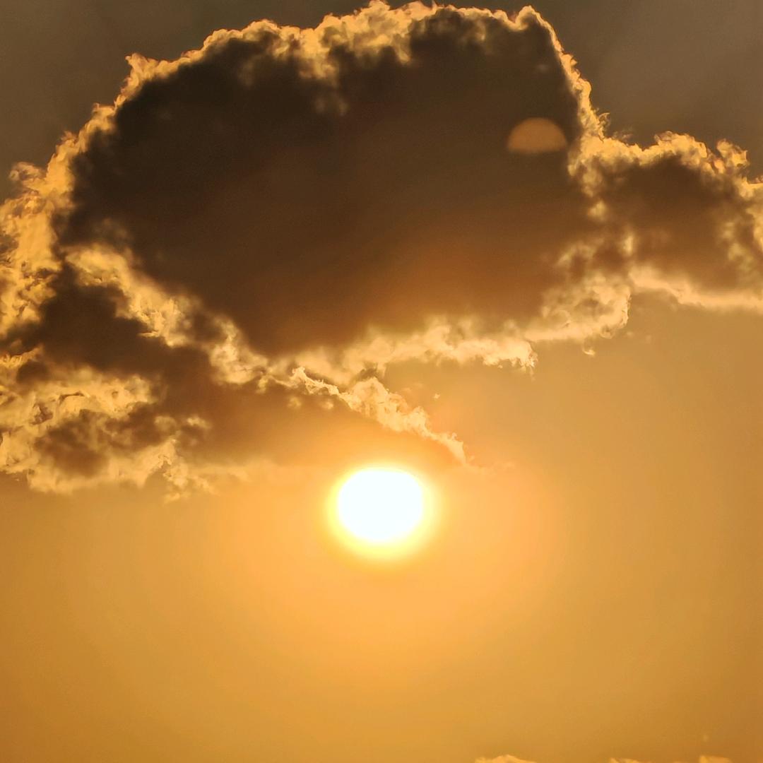 | ू星期八••́)