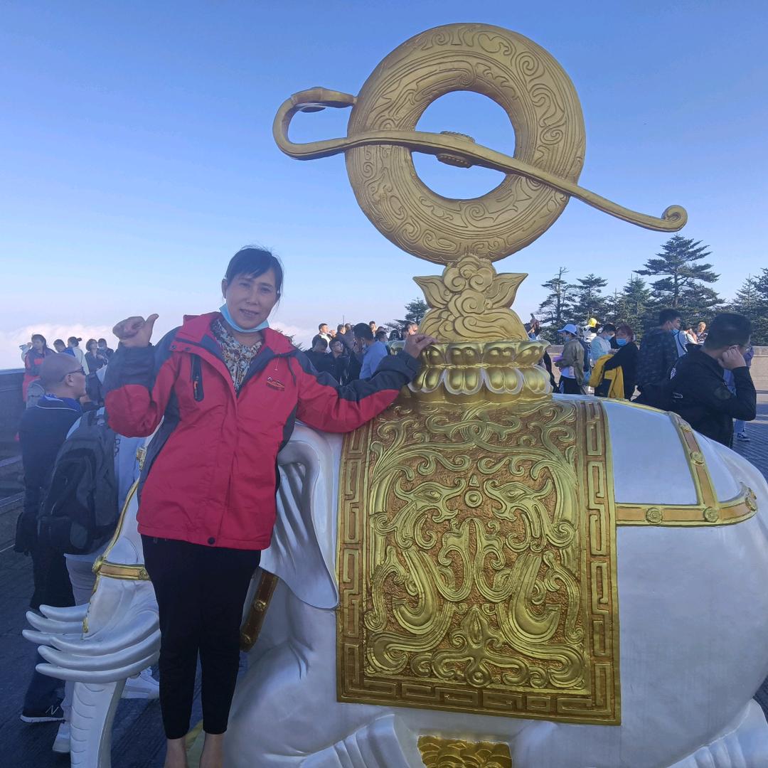 重庆鹏盛纸箱加工厂~贺幺妹