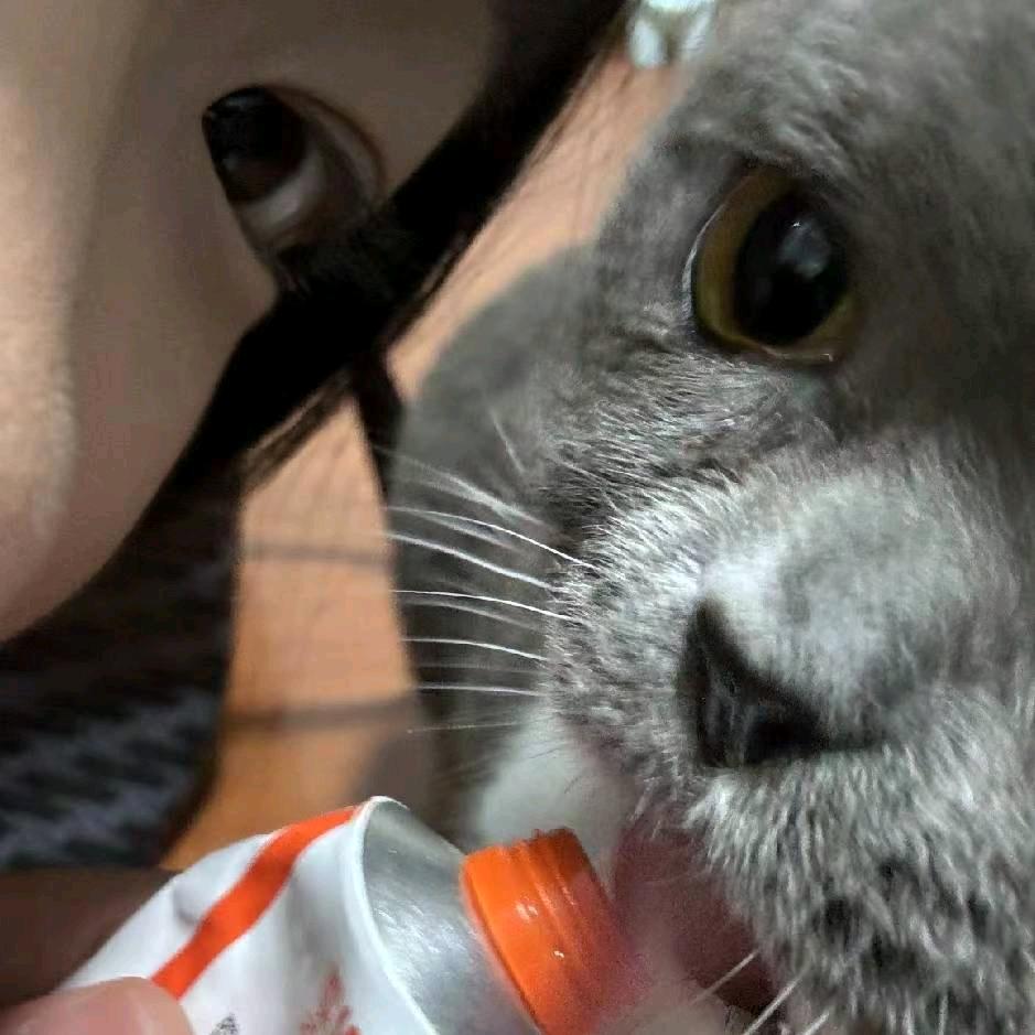 一二（见过周杰伦版）