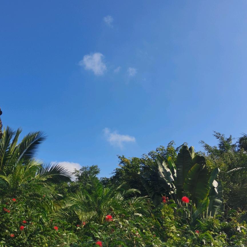 感恩《拒绝私聊》