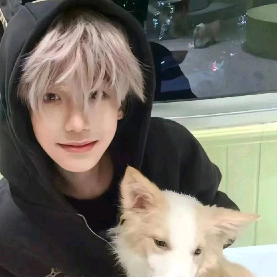 请听仔仔的诉愿