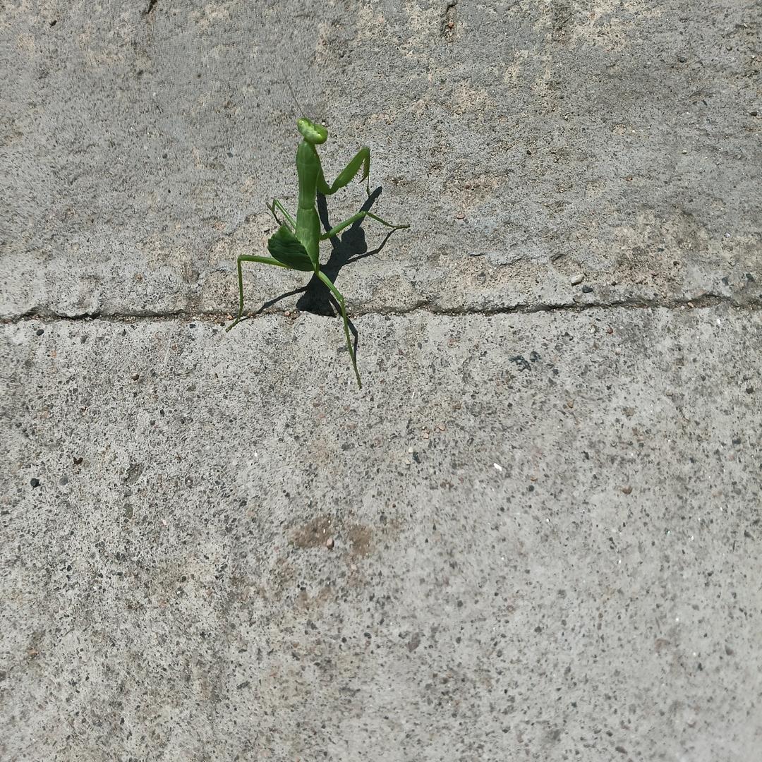 恩人浙江绍兴