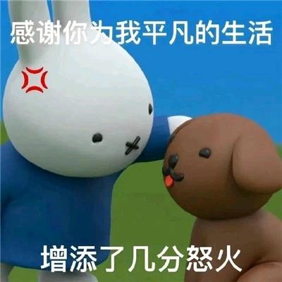 感官先生