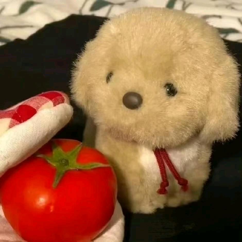 境界