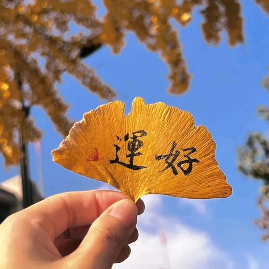 小妹好物优选