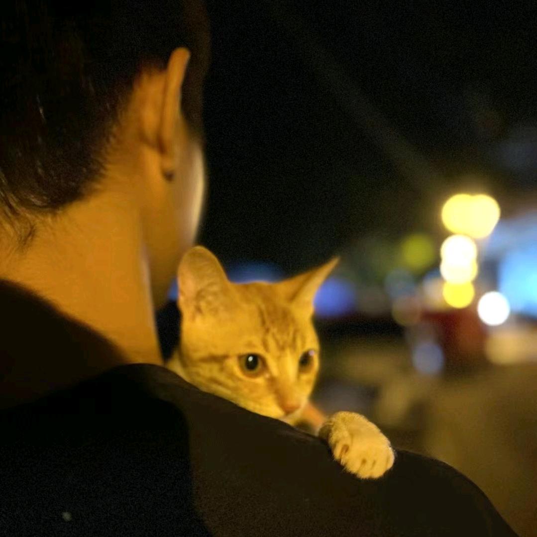 故里