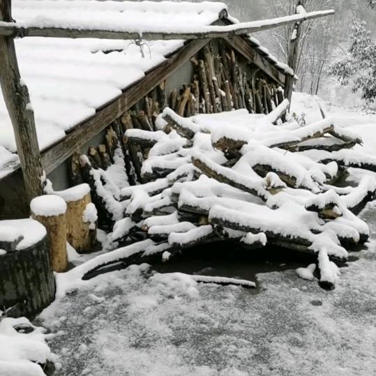 大宝贝