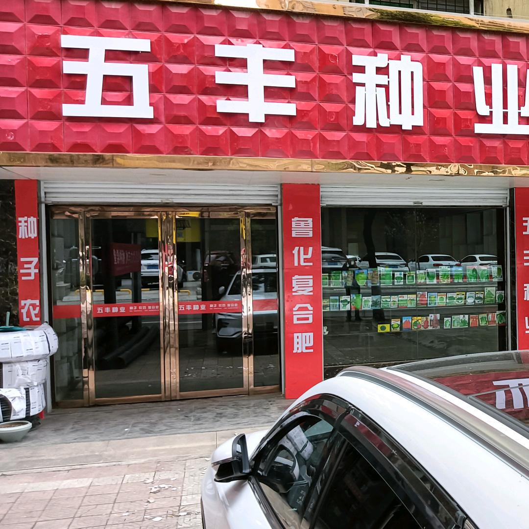 五丰种业
