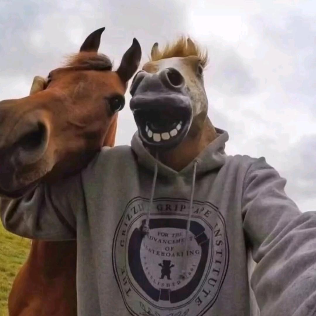 嘉和小王子宝玉（宁波第一酒王）