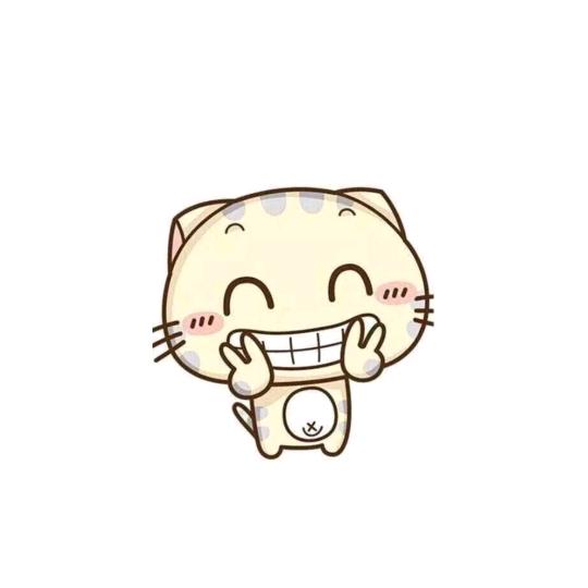 梦想成真😺