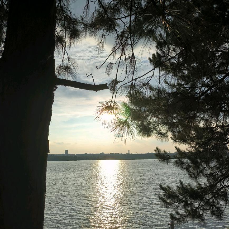 天命由我（50斤没了）