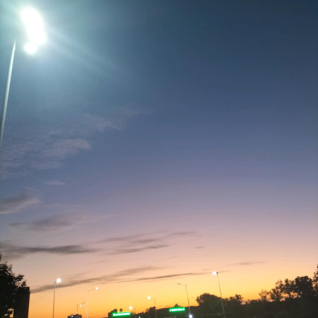 沐沐🕊️