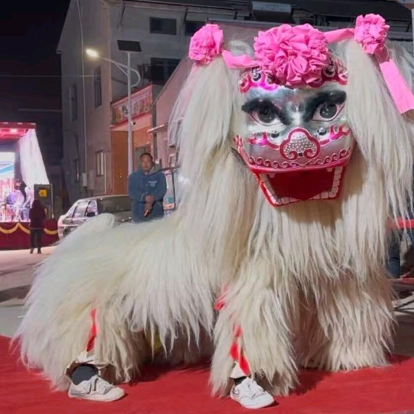 河南濮阳专业小白狮