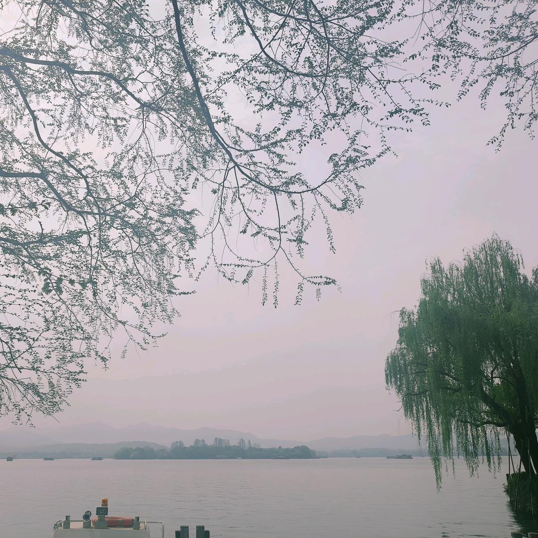 无悠