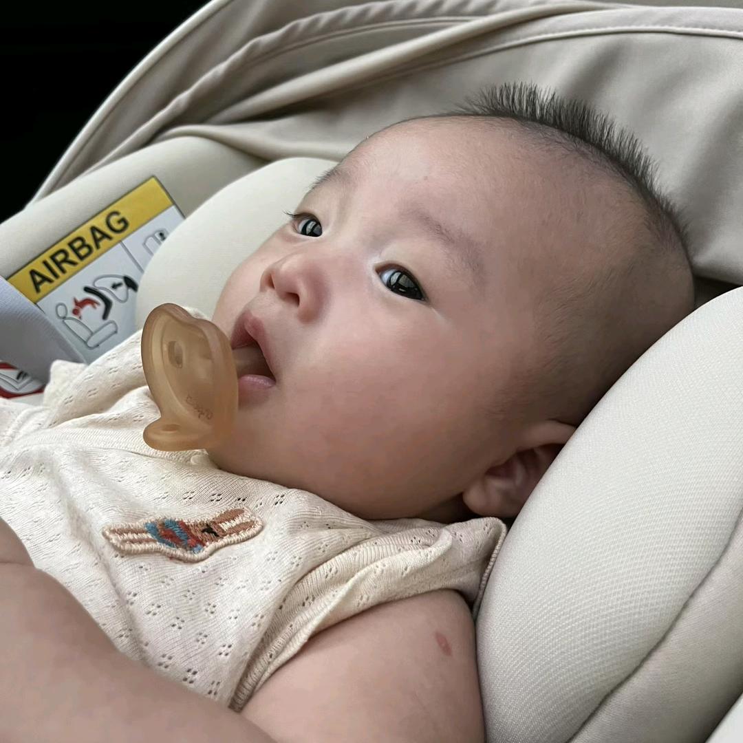 杨柳风千树。。