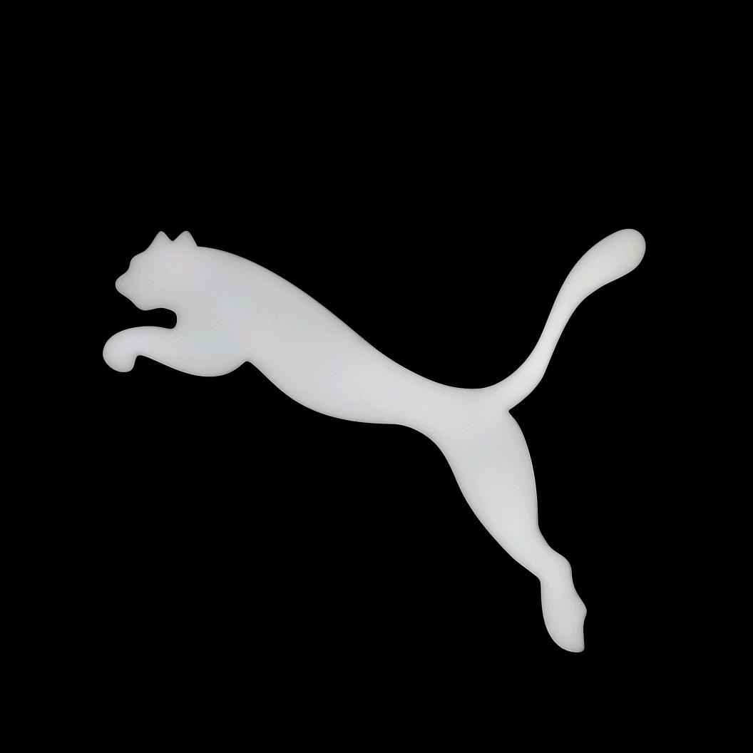 滔搏成都世茂广场PUMA