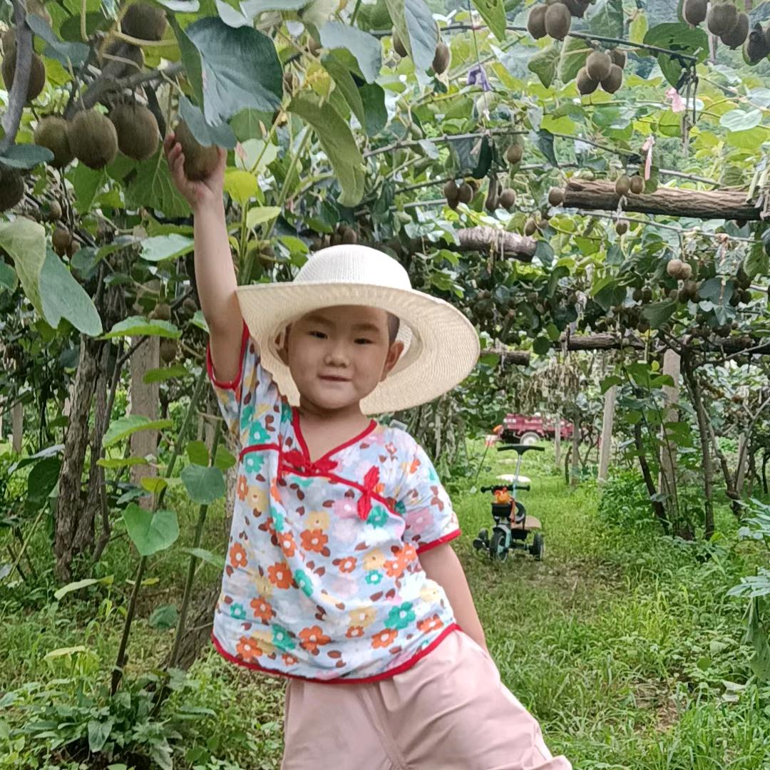 @眉县猕猴桃🥝阿军