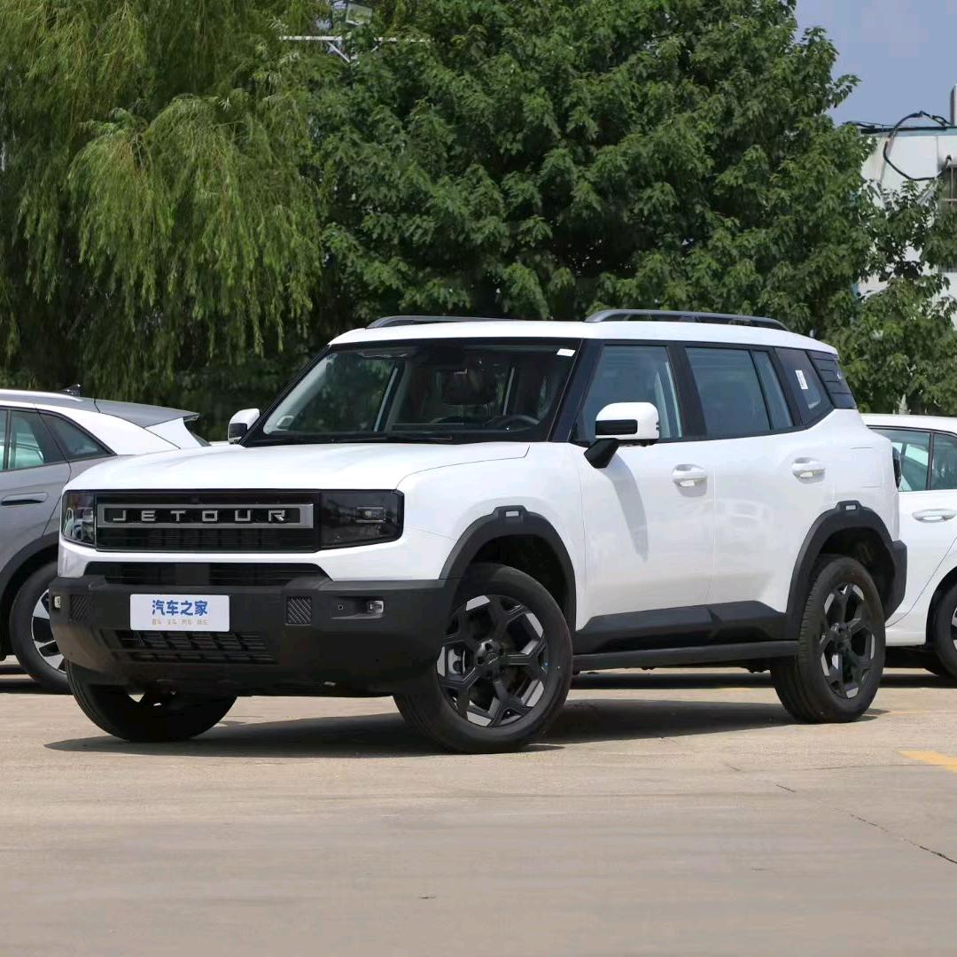 王家姐姐（低首付购车）