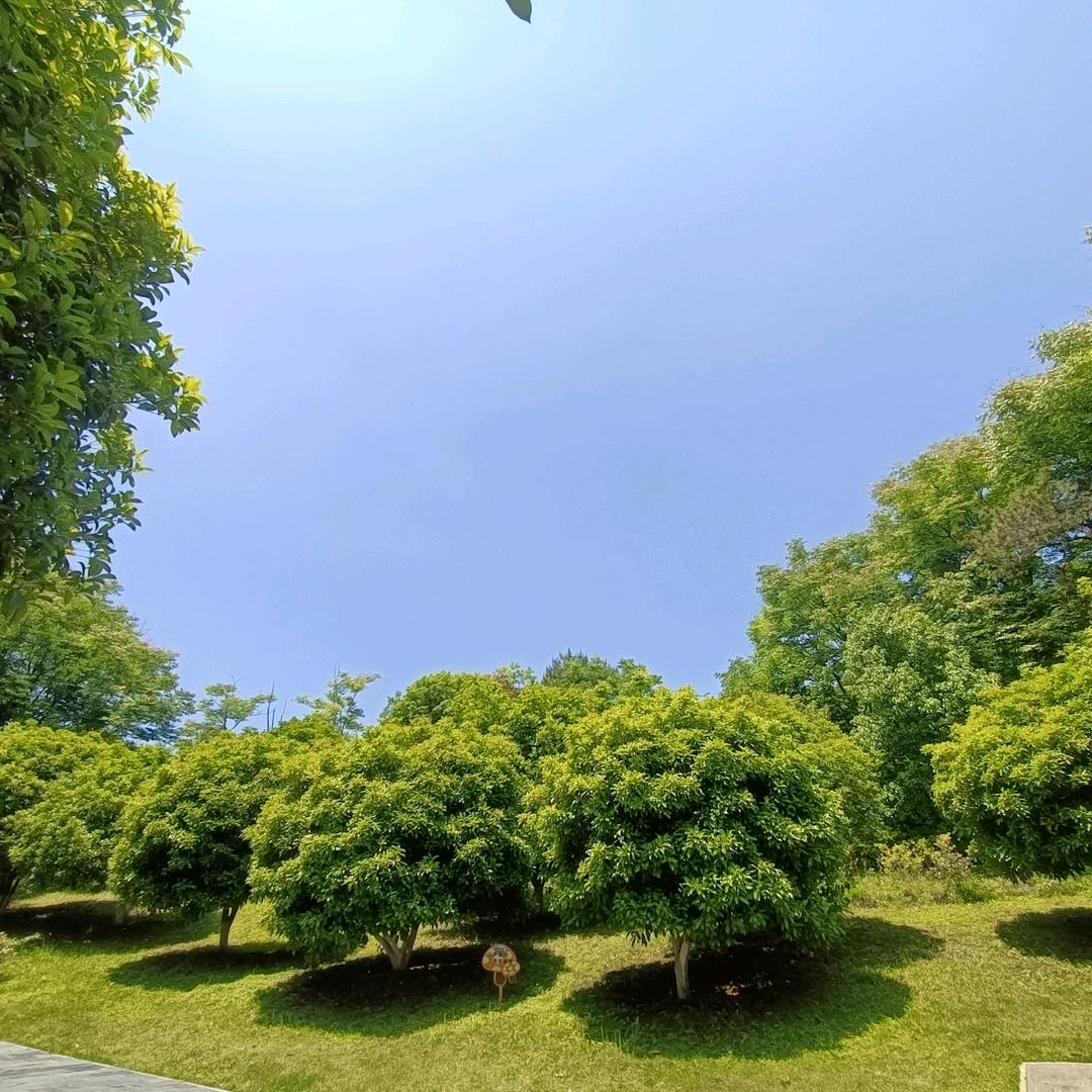 昕禾