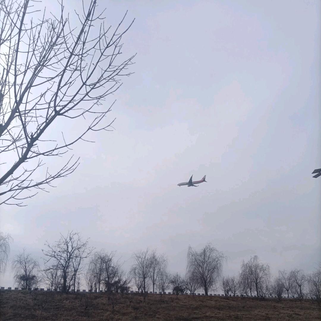 适安可等离子空气消毒机